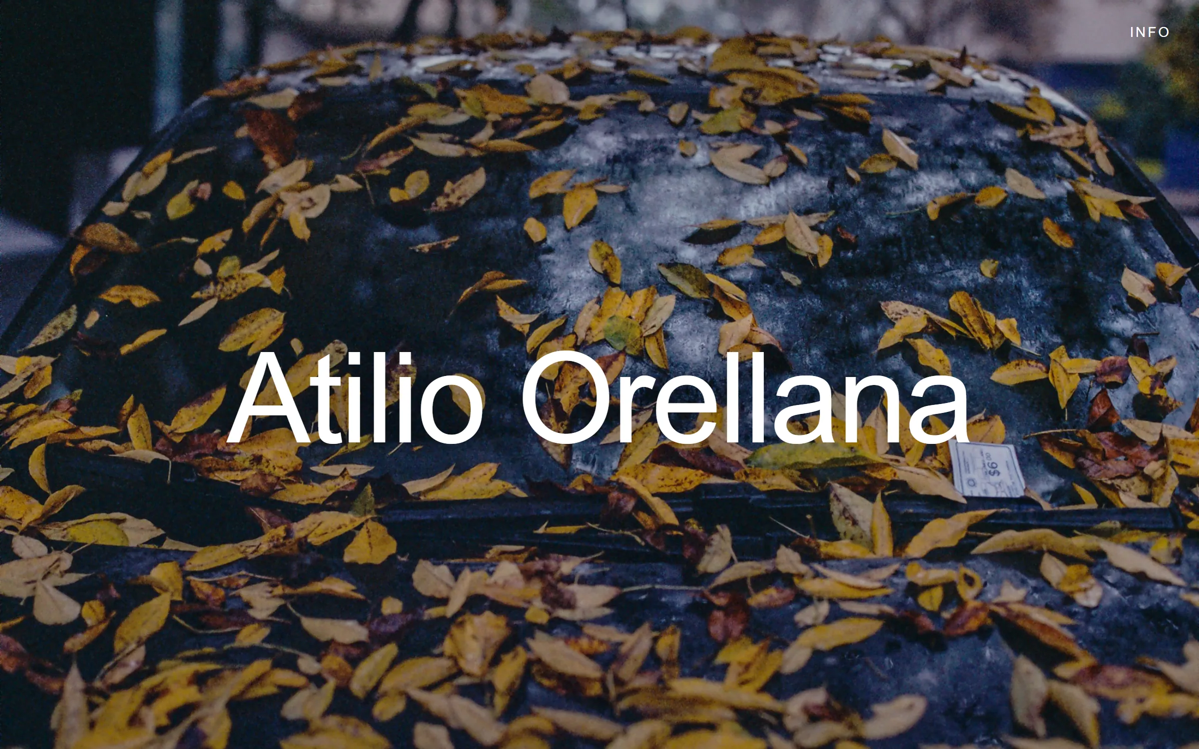 Sitio de Atilio Orellana